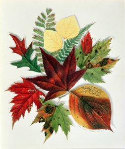 Herfstbladeren, 1858